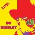 Bo Diddley And Mainsqueeze - Live